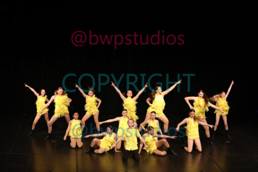 Q20 3979