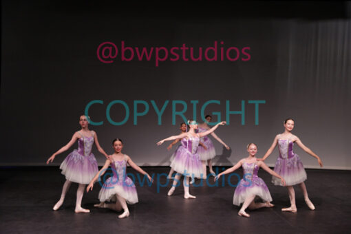 Q23 1563