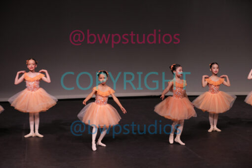 DANIELLES 8 Ballet Sml